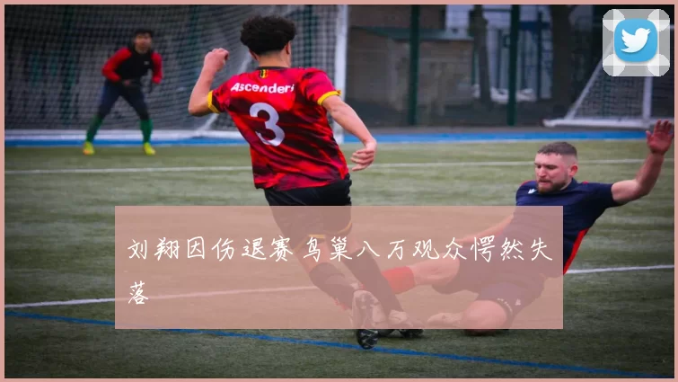 刘翔因伤退赛鸟巢八万观众愕然失落