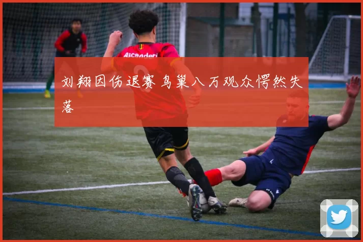 刘翔因伤退赛鸟巢八万观众愕然失落