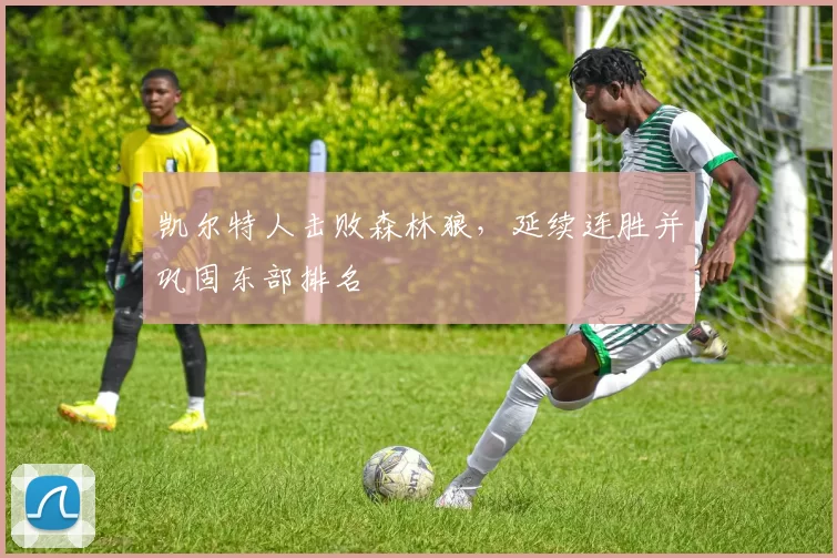 凯尔特人击败森林狼，延续连胜并巩固东部排名