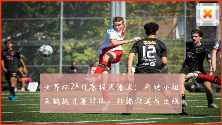 世界杯28日赛程及看点：两场小组关键战开赛时间、转播频道与出线影响