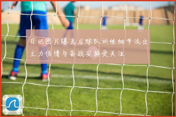 日记图片曝光后球队训练细节流出主力伤情与备战安排受关注