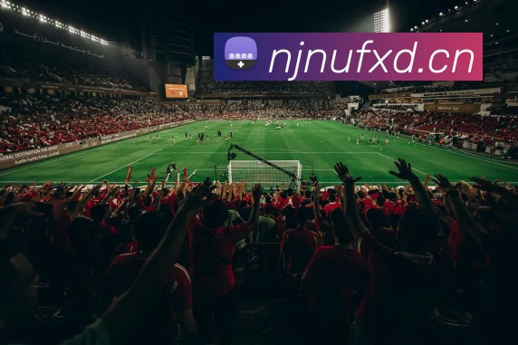 多媒体互动体验